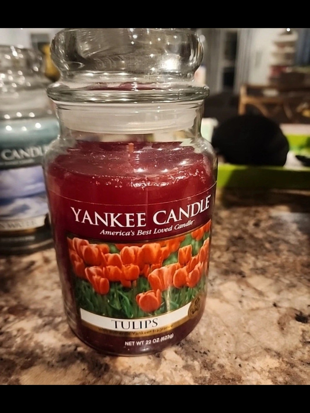 2 New Retired Yankee Candles- Tulip, Ocean Water 22oz